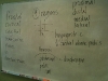 Intro to Anatomy 1