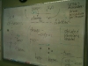 Cells & Tissues 2