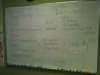 Lymphatic / Immune System 1
