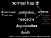 therapeutic-strategies-bms-018