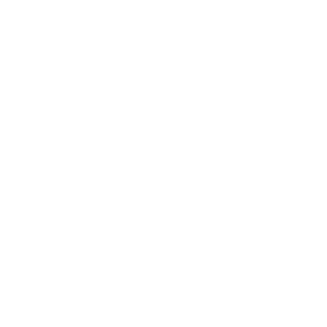 White circular SN logo for Sinus Ninja